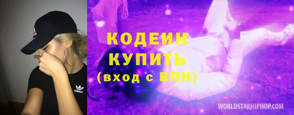 apvp Каменногорск