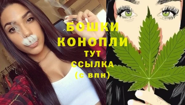 apvp Каменногорск