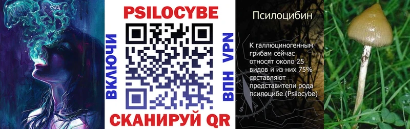 закладки  Ростов-на-Дону  Псилоцибиновые грибы Psilocybine cubensis 